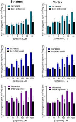 Dopamine internalization via Uptake2 and stimulation of intracellular D5-receptor-dependent calcium mobilization and CDP-diacylglycerol signaling